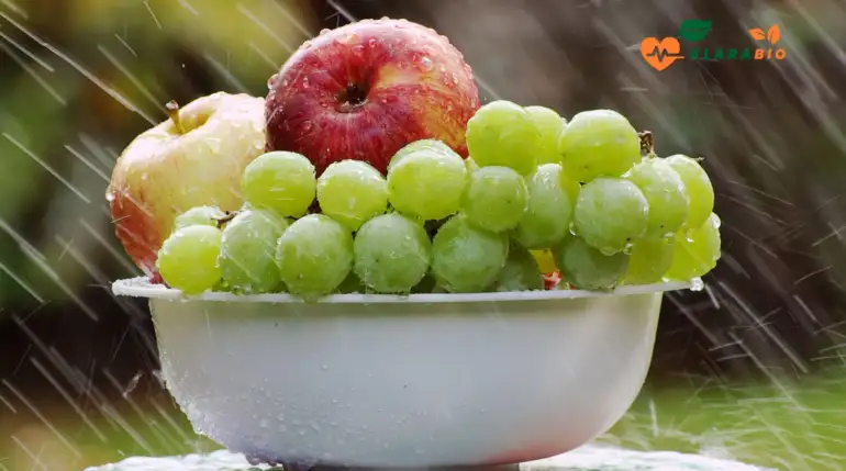 Seasonal Fruits in Casablanca – Fresh, Local, and Delicious