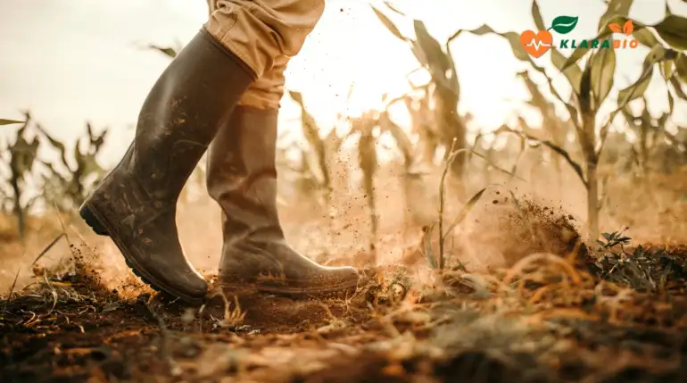 How Klarabio Supports Small Farmers in Morocco