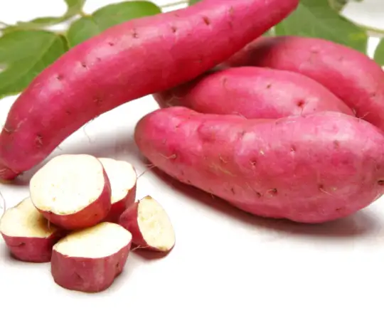 Sweet potatoes in Casablanca – Klarabio