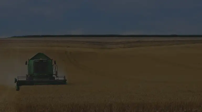 Local Moroccan Farmers